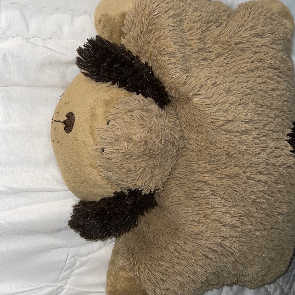 PILLOW PET